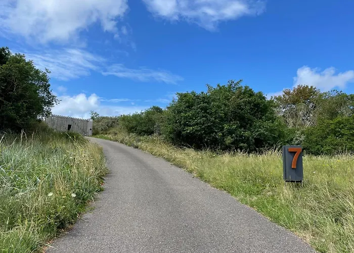 아파트 Dune 7 잔드보르트